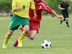 勇士对决森,林狼,锁定西部前,博彩平台,十大博彩平台,信誉十大博彩官网入口